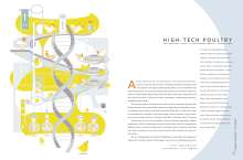 "High-Tech Poultry," a Maryland Research feature article with illustrations by Celia Johnson