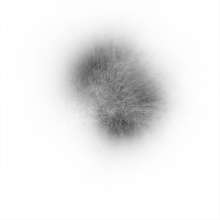 Winds / September 25, 2010 / Greensboro, North Carolina / Process.2012.02
