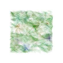 Winds / August 6, 2013/ Salisbury, Maryland / Process.2014.10