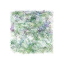 Winds / February 17, 2014 / Boone, North Carolina / Process.2014.10