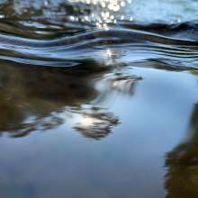 Running Water / September 4, 2019  / South Fork New River / Boone, North Carolina