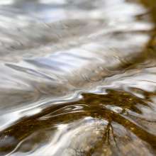 Running Water / November 20, 2019  / South Fork New River / Boone, North Carolina