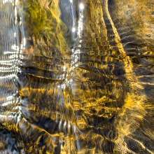 Running Water / December 28, 2019  / South Fork New River / Boone, North Carolina