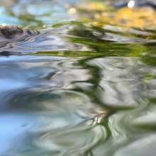 Running Water / April 3, 2020  / South Fork New River / Boone, North Carolina