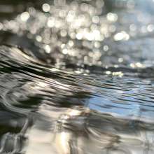 Running Water / August 24, 2020  / South Fork New River / Boone, North Carolina