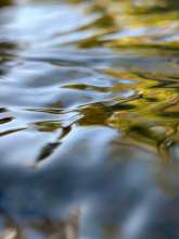 Running Water / October 14, 2020  / South Fork New River / Boone, North Carolina