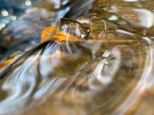 Running Water / October 19, 2020  / South Fork New River / Boone, North Carolina