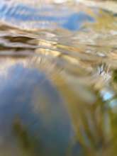 Running Water / December 27, 2020  / South Fork New River / Boone, North Carolina