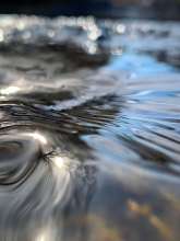 Running Water / March 17, 2021  / South Fork New River / Boone, North Carolina