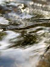 Running Water / May 24, 2021  / South Fork New River / Boone, North Carolina