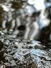 Running Water / July 3, 2022  / Boone Creek / Boone, North Carolina