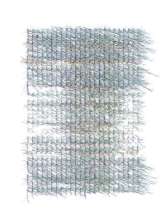 Winds / 2021 / Boone, North Carolina / Process.2022.01