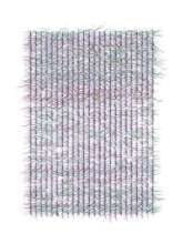 Winds / 2022 / Central Park, New York, New York / Process.2022.01