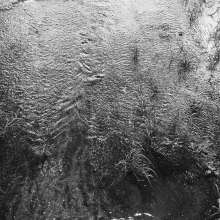 Running Water / August 10, 2016  / South Fork New River / Boone, North Carolina